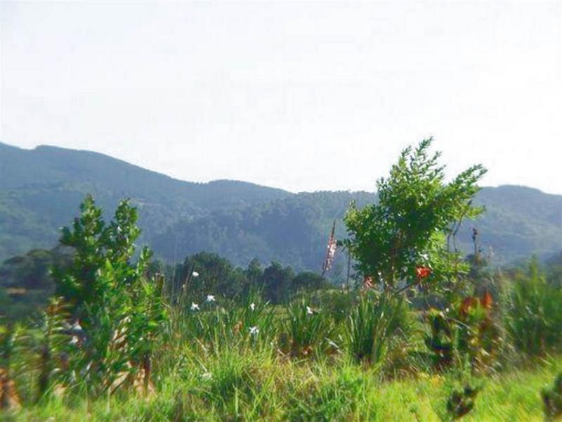 0 Bedroom Property for Sale in Knysna Western Cape